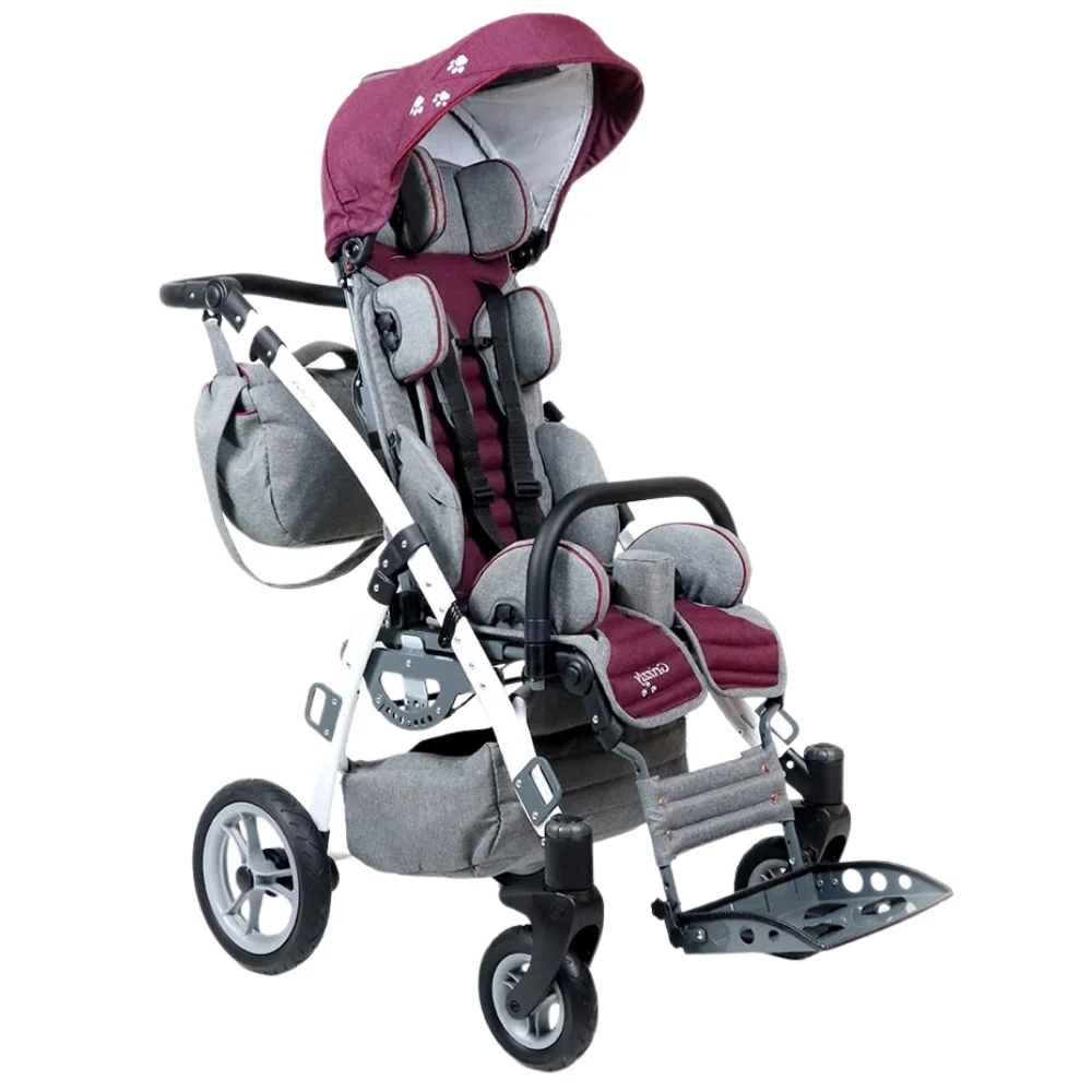 Mywam Grizzly Engelli Çocuk Puseti Full Aksesuarlı görsel 3